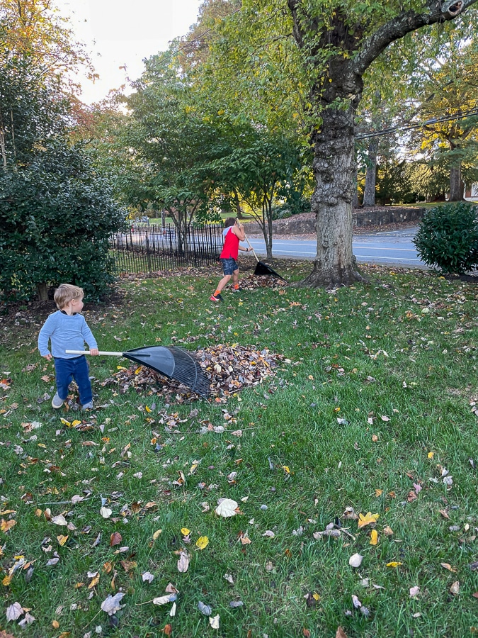 kids raking leaves | The Inn At Stinson Vineyards + Bday recap