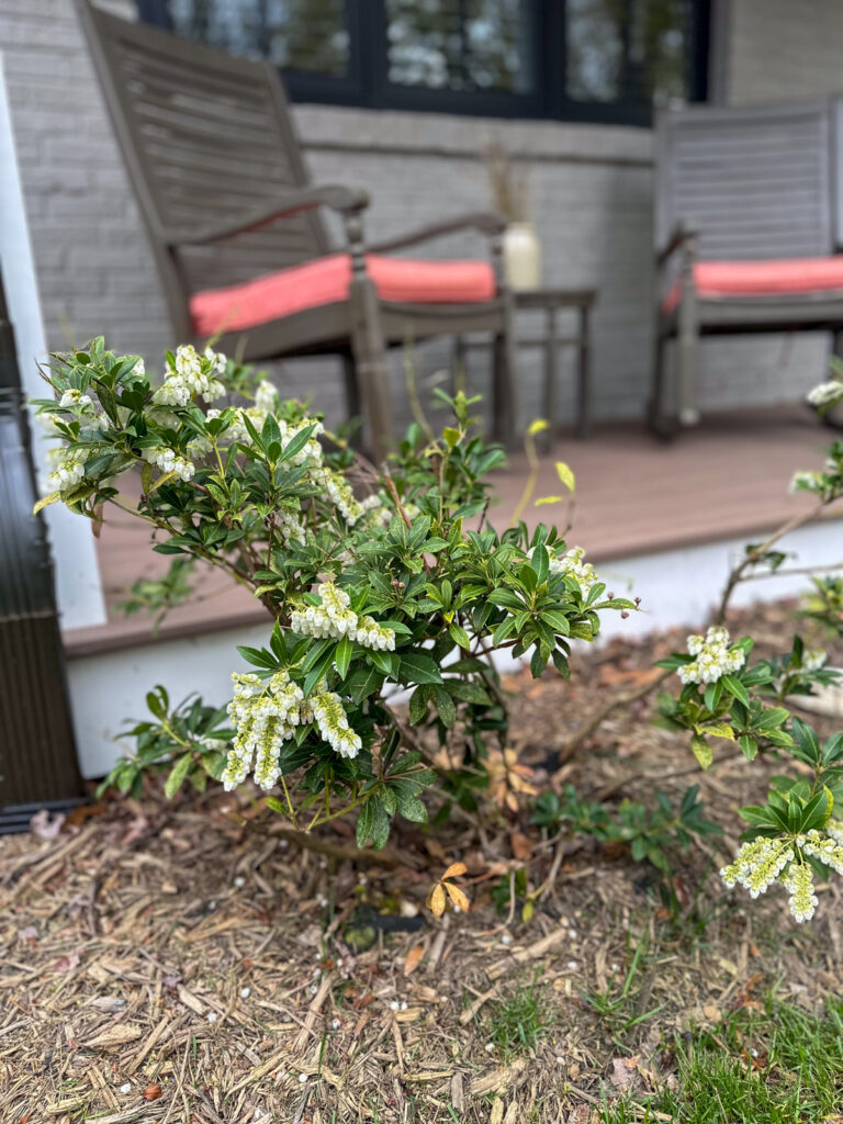 Front Porch Decor For Spring